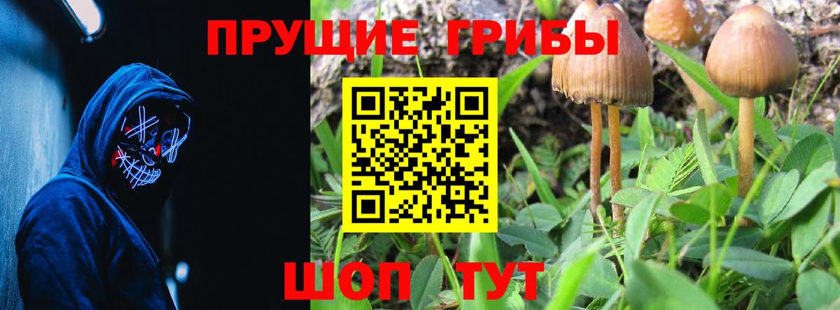 Красноуфимск  Псилоцибиновые грибы Magic Shrooms  Вход с VPN 